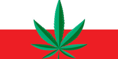 Polska w czołówce palaczy marihuany