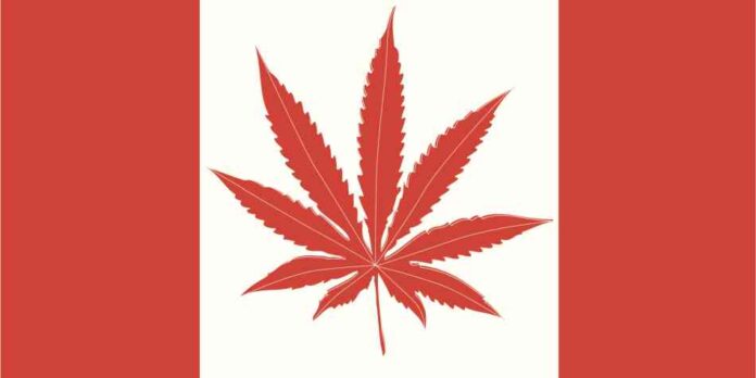 Kanada udostępniła wytyczne dotyczące bezpiecznego używania marihauny