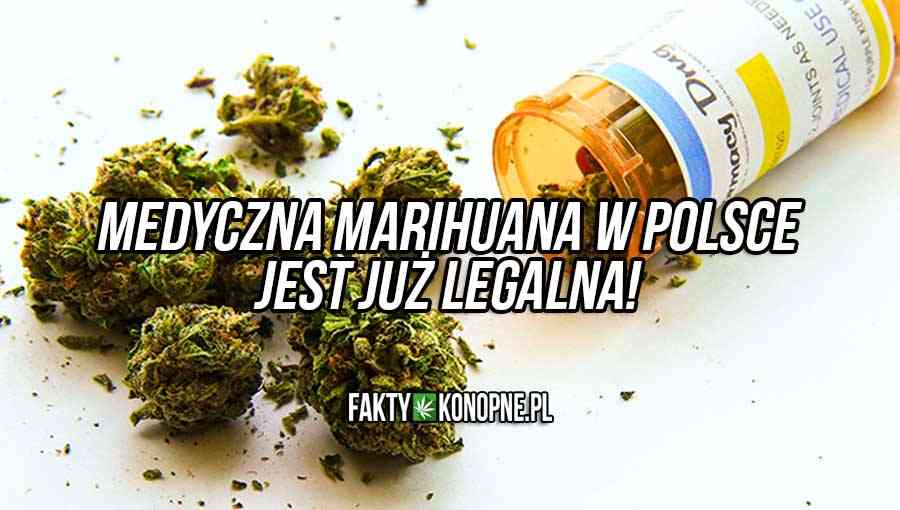 medyczna marihuana w polsce jest już legalna