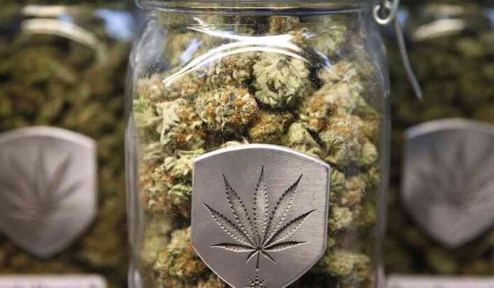 Od jutra w stanie Nevada marihuana będzie legalna