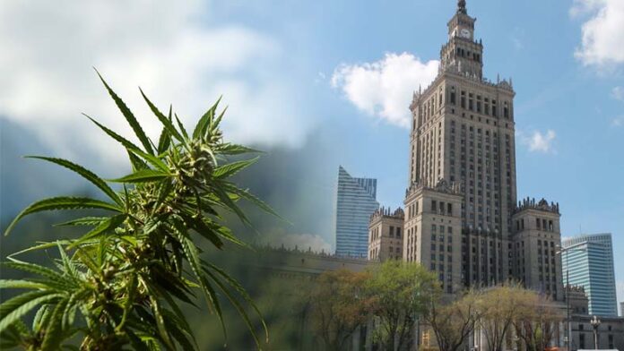 statystyki mówią, że każdego weekendu w Warszawie spalane jest 1.5 tony marihuany