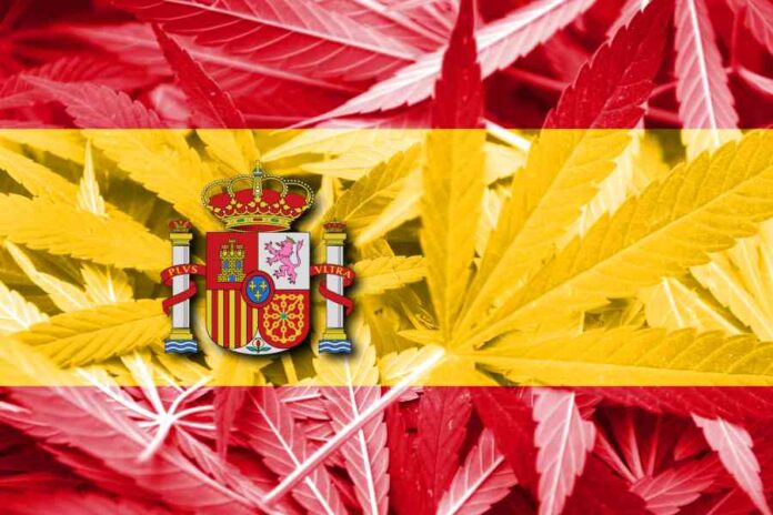 Katalonia zalegalizowała uprawę i konsumpcję marihuany