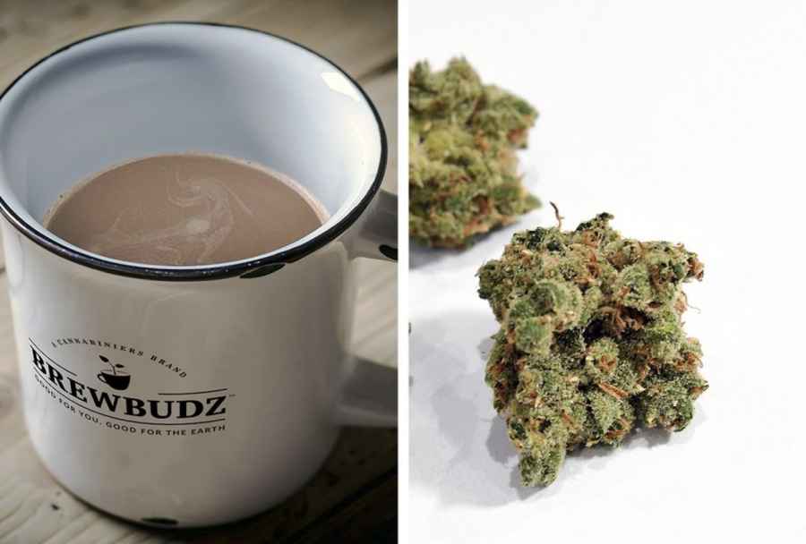 Brewbuds - kawa z THC, psychoaktywnym składnikiem marihuany