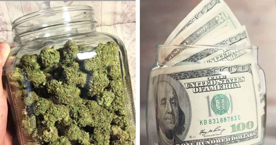 kolorado marihuana 500 milionow dolarow 2017