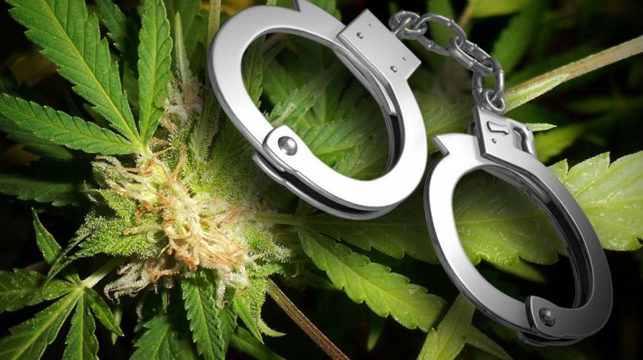 legalizacja marihuany związana ze spadkiem przestępczości