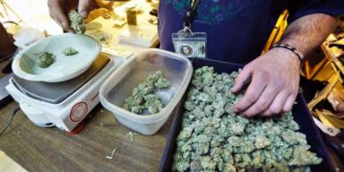 Kilka dni po legalizacji w Nevadzie zabrakło marihuany w sklepach
