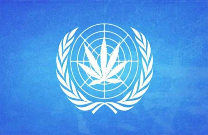 Organizacja Narodów Zjednoczonych i Światowa Organizacja Zdrowia wzywają do dekryminalizacji narkotyków