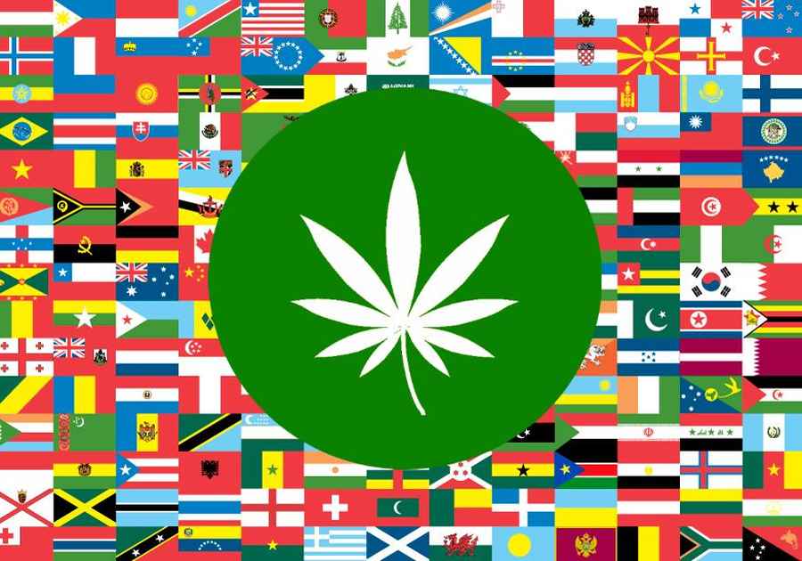 world drug report 2017 statystyki marihuana