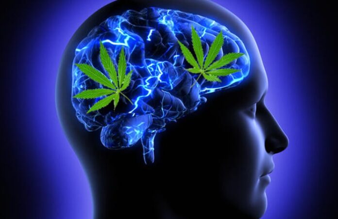 Używanie marihuany może poprawić pamięć roboczą