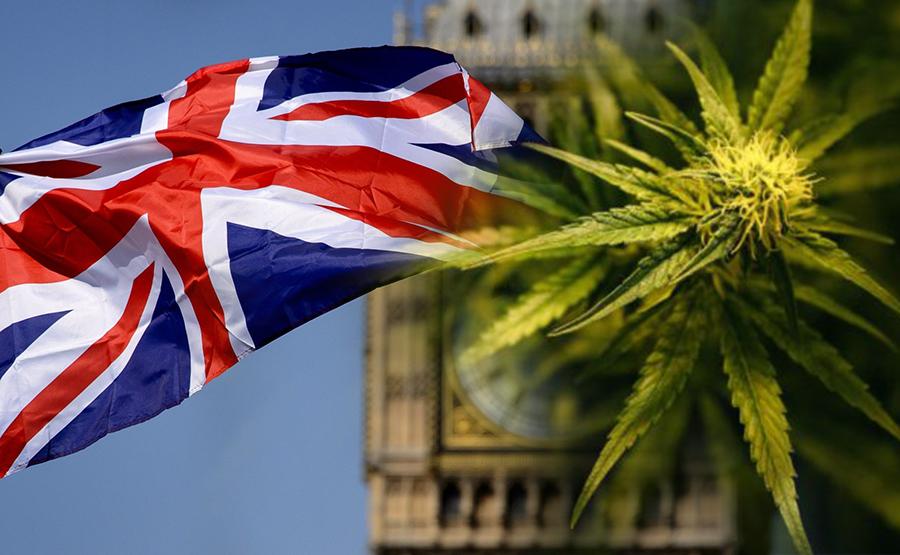 98 procent brytyjczykow chce legalnej marihuany