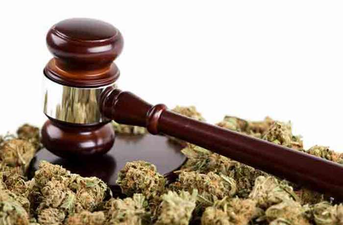 cannabis bar association lawyer law