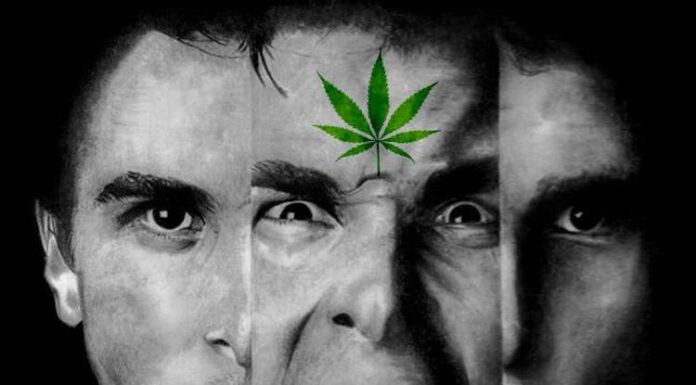paranoje i psychozy po paleniu marihuany mogą występować u osób z grupy ryzyka