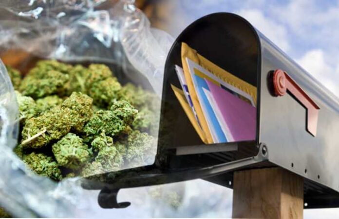 20-latek spod Poznania wysyłał marihuanę pocztą