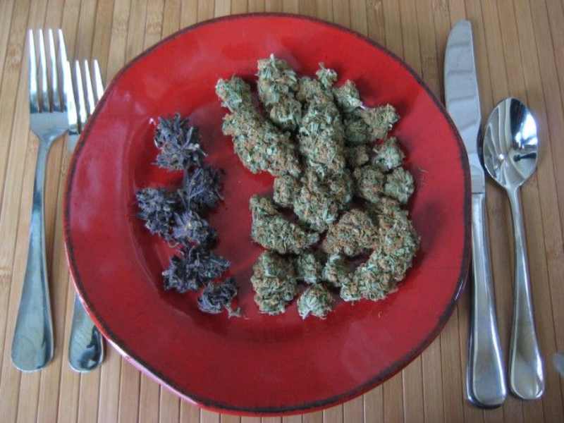 marihuana jedzenie wydatki 1