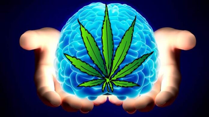 marihuana poprawia funkcjonowanie mózgu