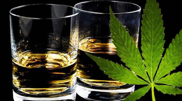 Dlaczego marihuana jest bezpieczniejsza od alkoholu