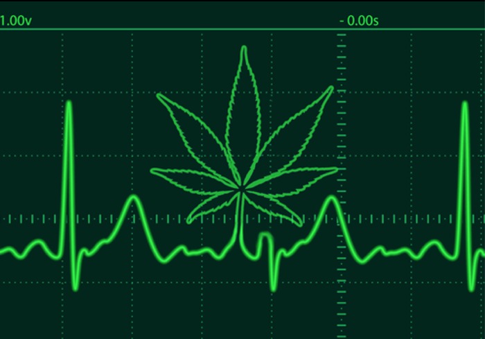 marihuana serce