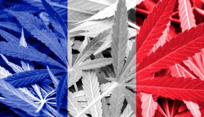 Francja i legalizacja medycznej marihuany