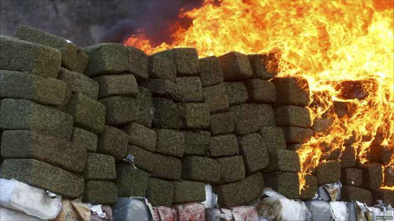 niemcy spalili 550kg marihuany cieplo