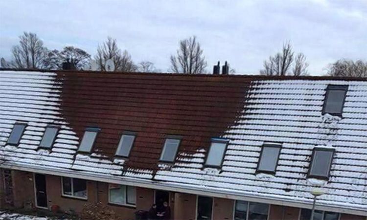 snieg na dachu ujawnil uprawe marihuany
