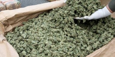 Nadwyżka marihuany w stanie Oregon
