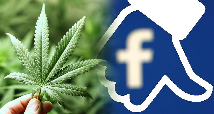 strony o marihuanie na facebooku