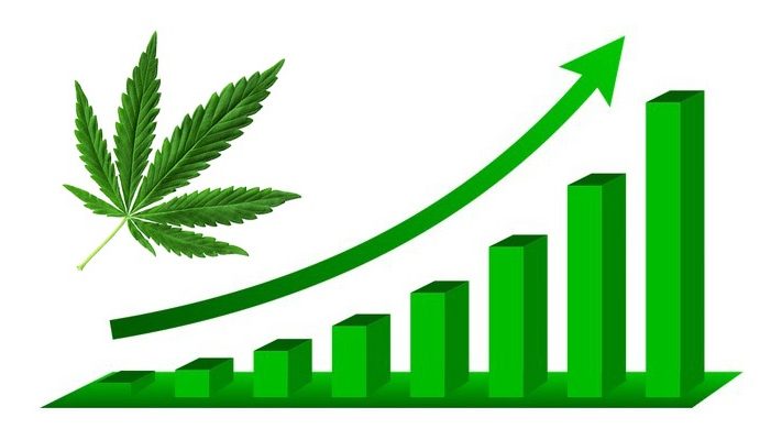 cropped rynek legalnej marihuany