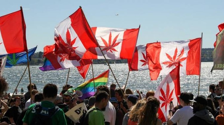 legalizacja marihuany w kanadzie