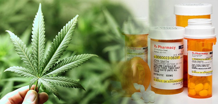 marihuana przemysl farmaceutyczny