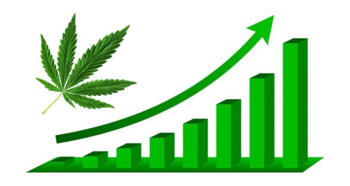 rynek legalnej marihuany może być wart prawie 200 miliardów dolarów do 2028 roku