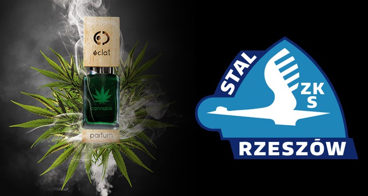 stal rzeszow perfumy cannabis