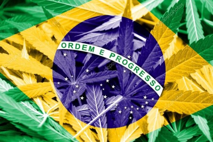 Brazylia walczy o legalizacje marihuany