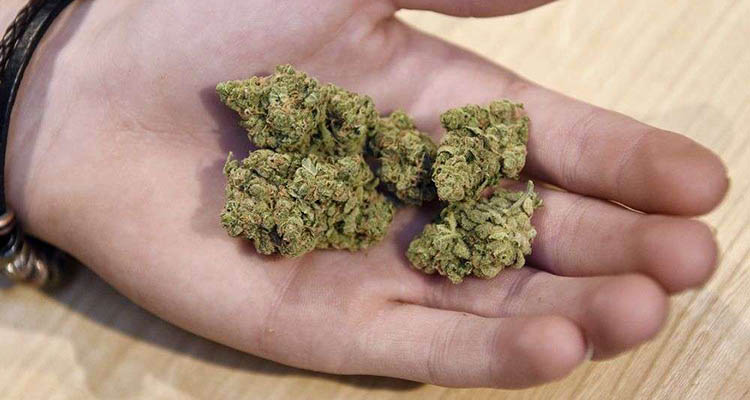 Sąd uznał, że marihuana nie może być sakramentem w Kościele Konopi