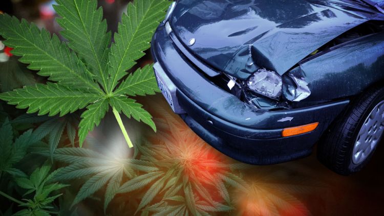 nevada spadek smiertelnych wypadkow drogowych po legalizacji marihuany