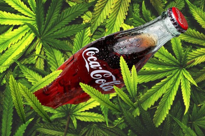 Coca Cola stworzy napój z marihuany
