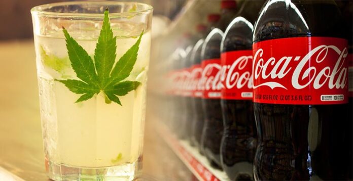 Coca Cola prowadzi rozmowy z producentem marihuany. Chce stworzyć napój na bazie konopi