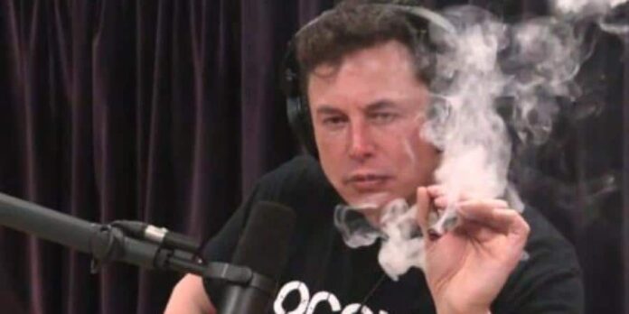 Elon Musk palił marihuanę z jointa podczas podcastu z Joe Roganem
