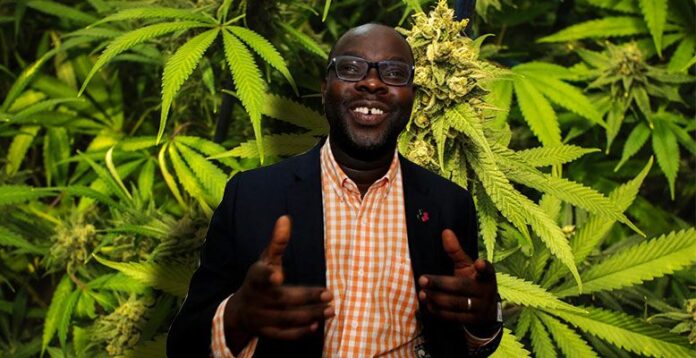 Legalizacja marihuany w Kenii