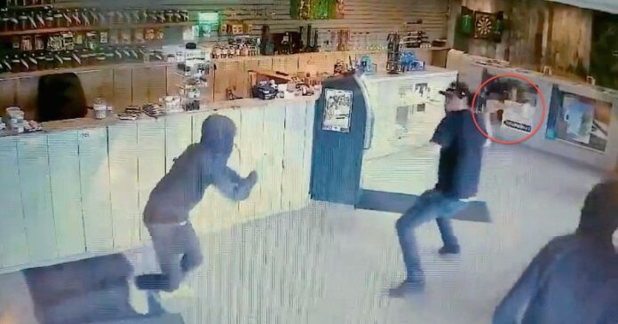 Pracownik sklepu z marihuaną w Kanadzie przepędził złodziei używając szklanego bonga