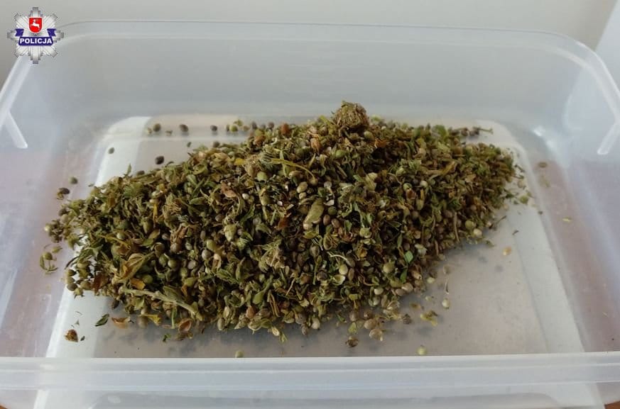 nasiona marihuany znalezione u 31 latka