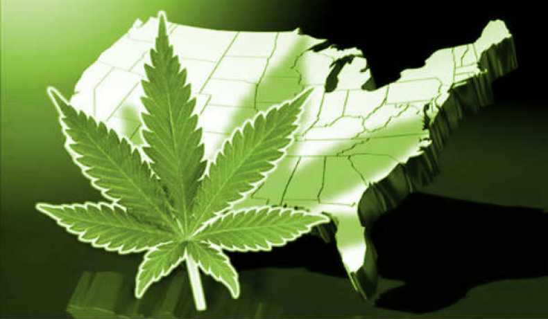 62 procent amerykanow popiera legalizacje marihuany
