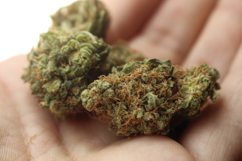 Dwa dni po legalizacji, w Kanadzie brakuje marihuany