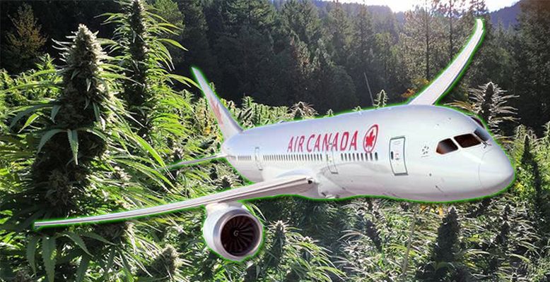 Kanadyjczycy mogą legalnie latać samolotem posiadając 30g marihuany