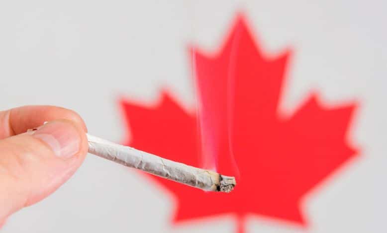 Popyt i podaż na marihuanę w Kanadzie