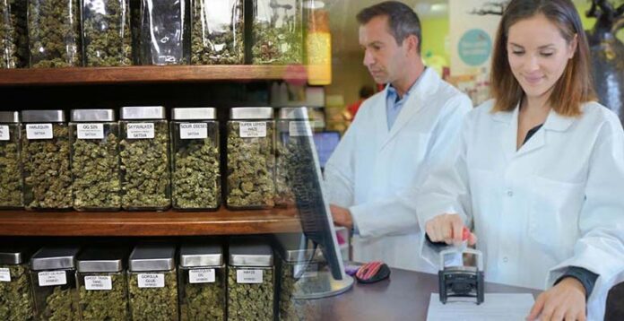 Medyczna marihuana będzie dostępna w aptekach. Jaka będzie cena?