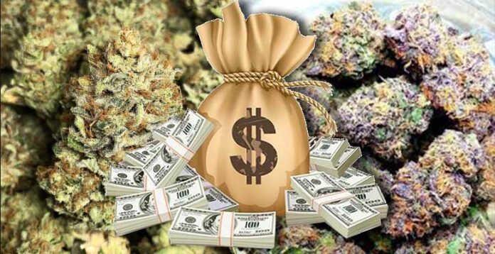 Te odmiany marihuany są droższe niż złoto