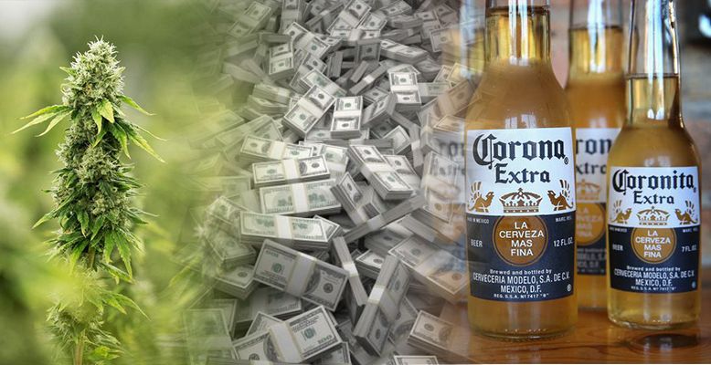 Producent piwa Corona zainwestował w producenta marihuany i już zarobił ponad miliard dolarów