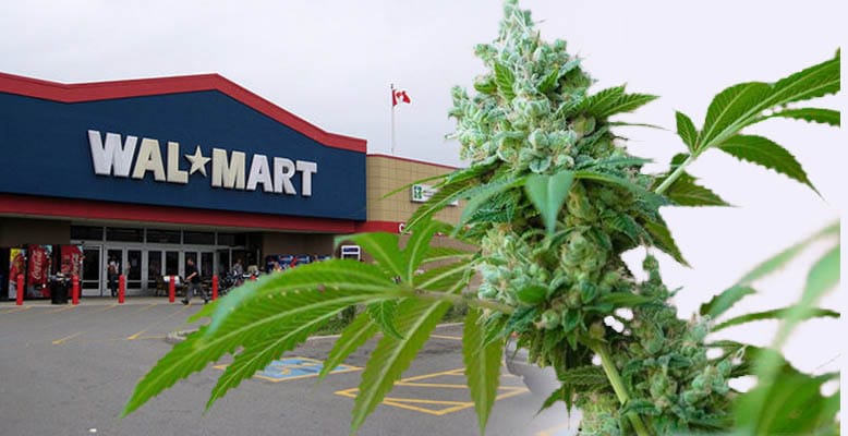 Walmart Canada chce sprzedawać produkty z mariuhany