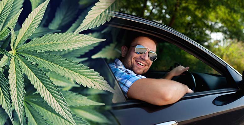 Liczba kierowców pod wpływem THC nie wzrosła po legalizacji marihuany