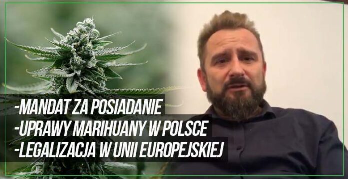 Liroy o legalizacji marihuany w Polsce